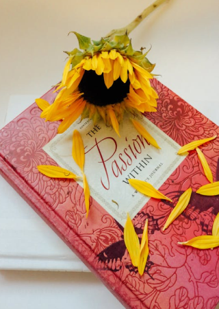 lorem ipsum 2 lorem ipsum 2